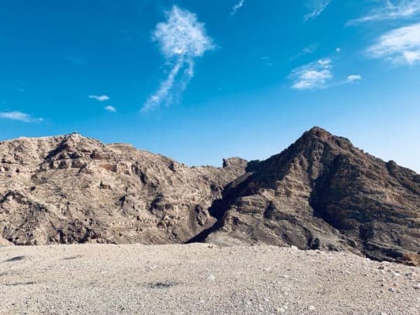 Al Ain City Tour + Lunch & Camel Market Entry (From Dubai) by ABC Tours