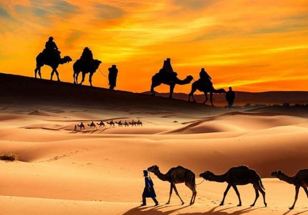 Dubai Sunset Camel Trekking Dinner & Shows – ABC Tours